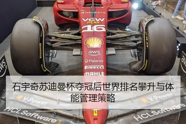 shi-yu-qi-su-di-man-bei-duo-guan-hou-shi-jie-pai-ming-pan-sheng-yu-ti-neng-guan-li-ce-lve-3-915.jpg